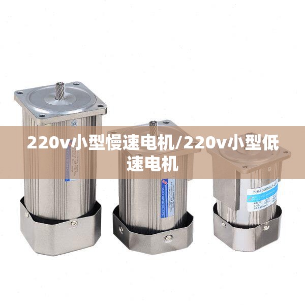 220v小型慢速电机/220v小型低速电机