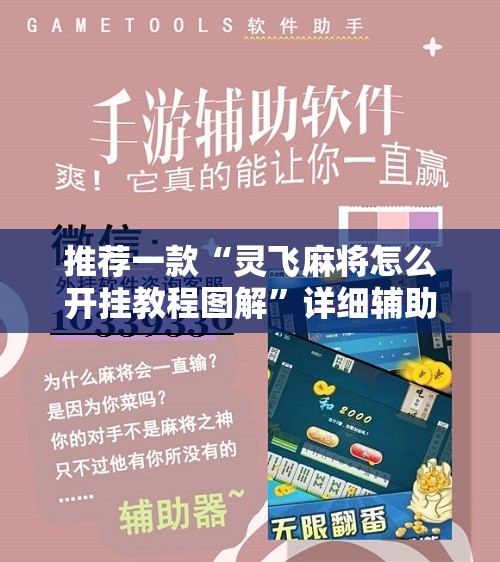 推荐一款“灵飞麻将怎么开挂教程图解	”详细辅助教程分享