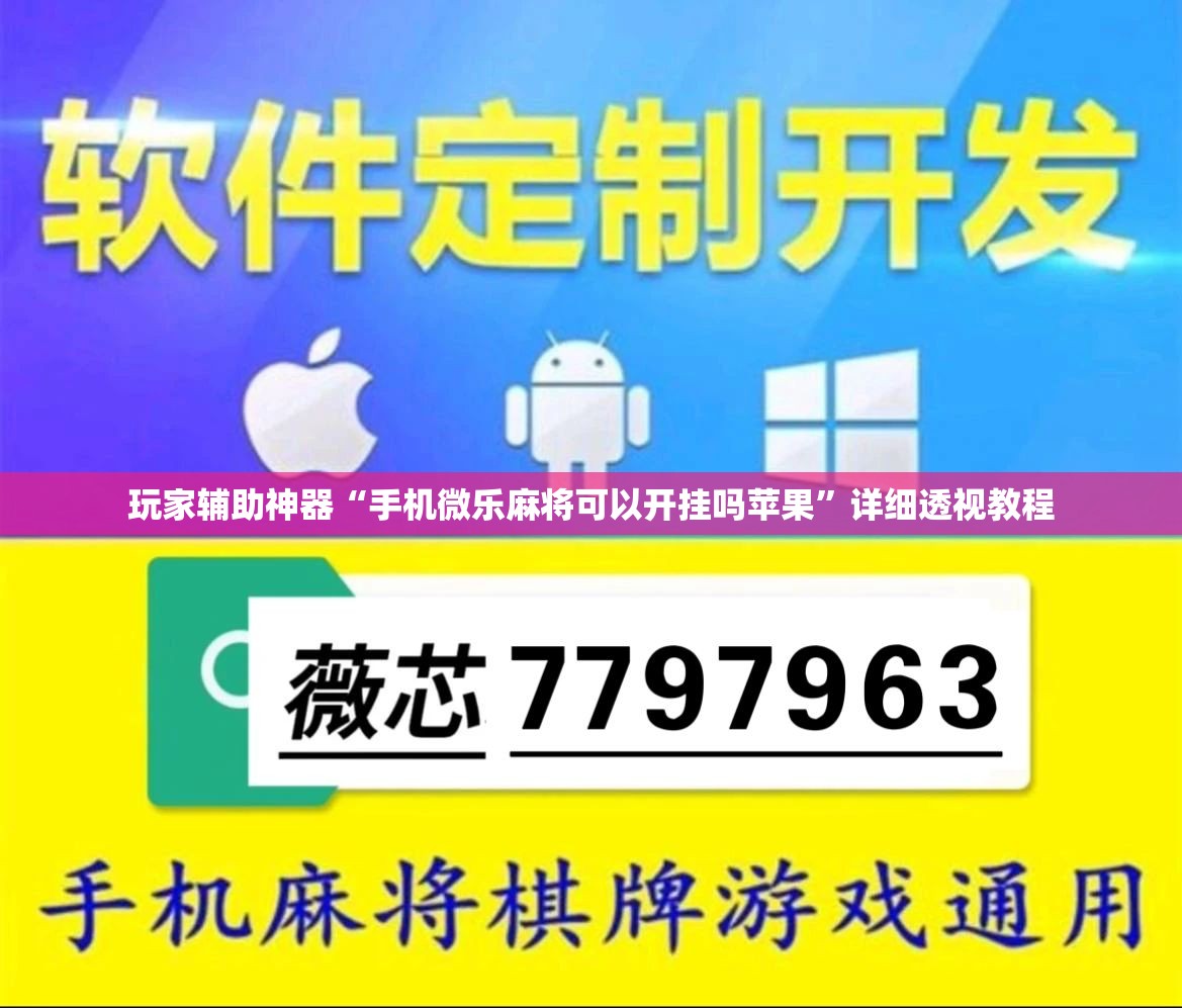 玩家辅助神器“手机微乐麻将可以开挂吗苹果”详细透视教程