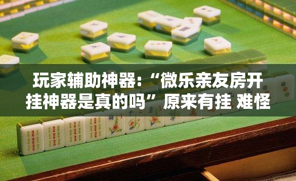 玩家辅助神器:“微乐亲友房开挂神器是真的吗”原来有挂 难怪会一直输