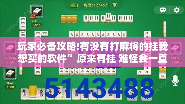 玩家必备攻略!有没有打麻将的挂我想买的软件”原来有挂 难怪会一直输