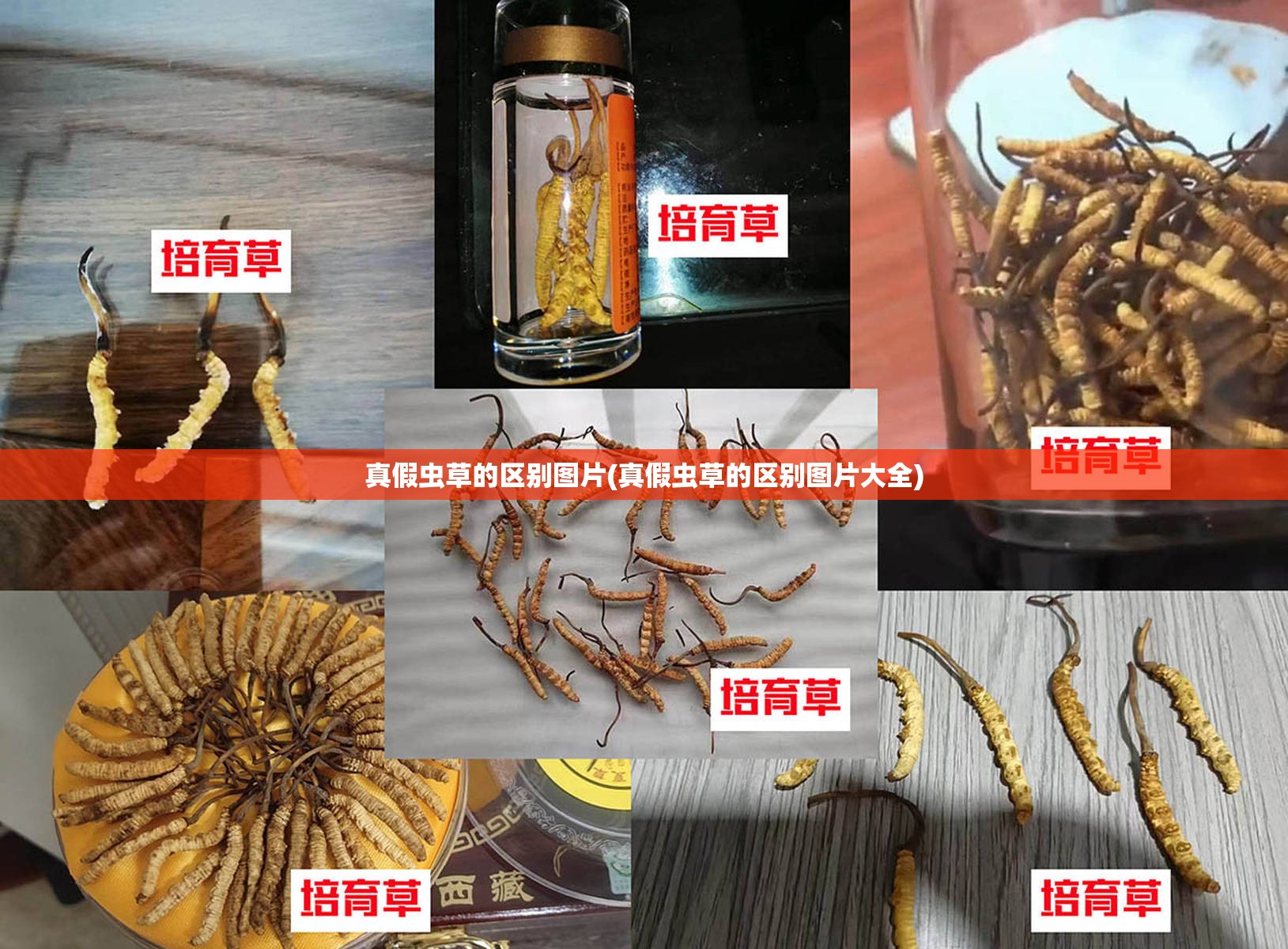 玩家辅助神器“麻将软件开挂免费版”开挂(透视)辅助教程