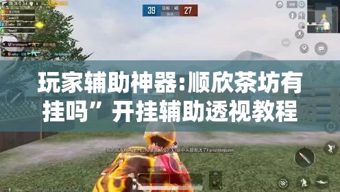 玩家辅助神器:顺欣茶坊有挂吗	”开挂辅助透视教程