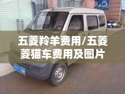 五菱羚羊费用/五菱菱猫车费用及图片 五菱羚羊费用/五菱菱猫车费用及图片