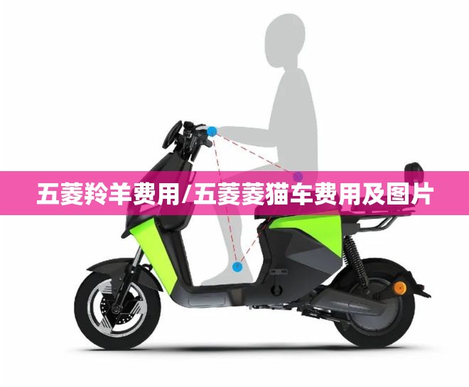 五菱羚羊费用/五菱菱猫车费用及图片 五菱羚羊费用/五菱菱猫车费用及图片