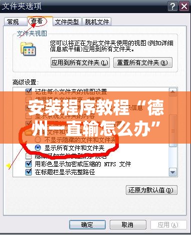 安装程序教程“德州一直输怎么办”2026开挂教程步骤