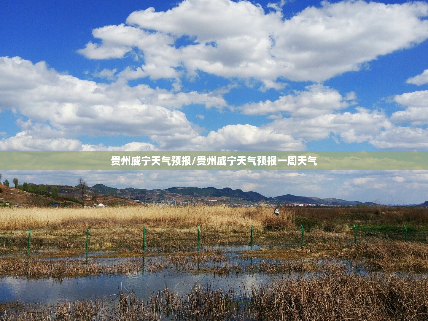 贵州威宁天气预报/贵州威宁天气预报一周天气
