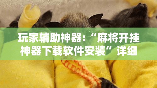 玩家辅助神器:“麻将开挂神器下载软件安装”详细辅助教程分享