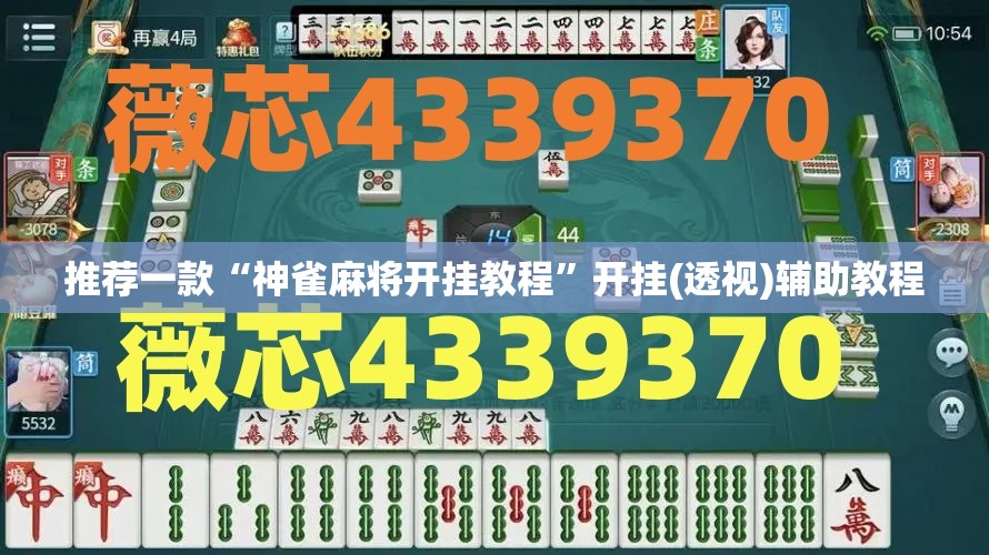 推荐一款“神雀麻将开挂教程”开挂(透视)辅助教程