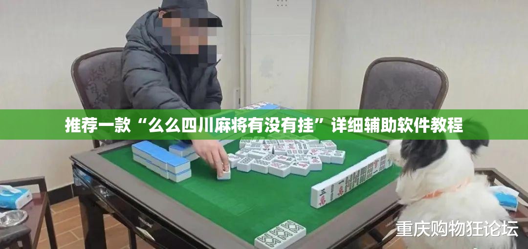 推荐一款“么么四川麻将有没有挂	”详细辅助软件教程